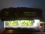 Tianna S. review photo