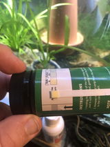 Tedrock review photo