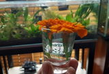 Justin C. review photo