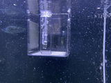 Alvaro G. review photo