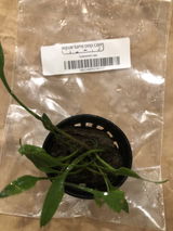 Don S. review photo