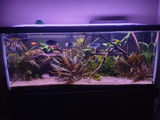 Aaron review photo