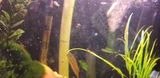Ray G. review photo