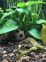 Steven W. review photo
