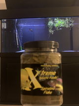 Y.X. review photo