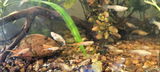 Fernando R. review photo