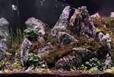 Ed H. review photo