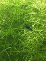 James D. review photo