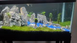 Bret M. review photo