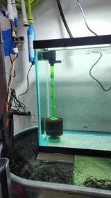 Tristan O. review photo