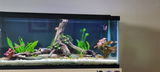 Steven S. review photo