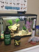 Colten O. review photo