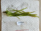 Tyler S. review photo