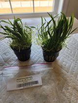 Tyler S. review photo