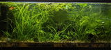 Jonathan B. review photo