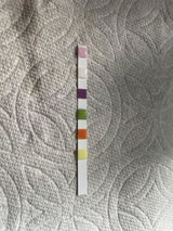Rose S. review photo