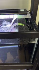 Adam S. review photo