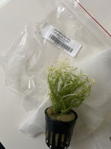 Jake S. review photo
