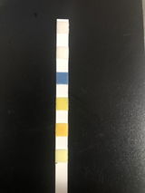 Curtis S. review photo