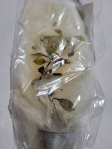 Diana C. review photo