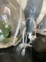 Gabriel S. review photo