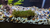 Eric S. review photo