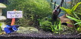 Karen G. review photo