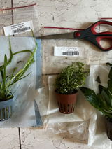 MEC review photo