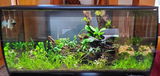 Todd P. review photo