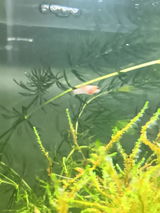 Matthew F. review photo