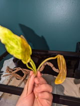 K S. review photo