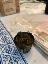 Greg K. review photo