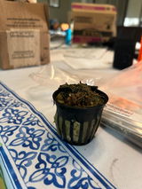 Greg K. review photo