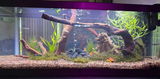 Jon A. review photo