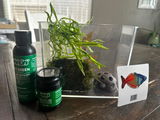 Karver E. review photo