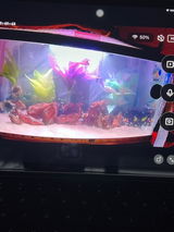 Cyndi review photo