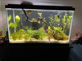 James review photo