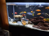 James J. review photo