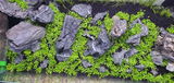 Michael b. review photo