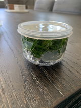 Kylie S. review photo
