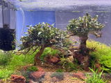 Michael S. review photo