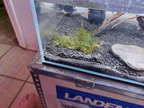 Darin h. review photo