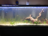Anthony S. review photo