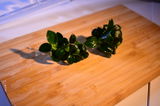 Dmytro review photo