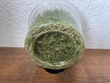 Ginny G. review photo