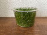 Ginny G. review photo