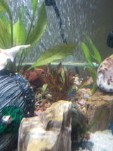 Misty C. review photo