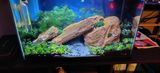 Kyron M.H. review photo