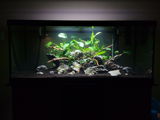 BL review photo