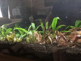 Jeremy review photo